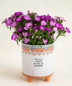 Natural Life Artisan Planter