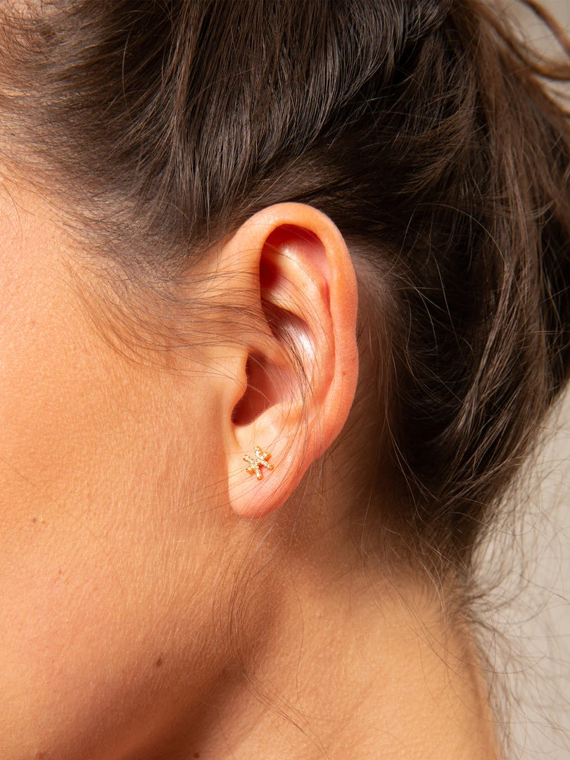 Natural Life Zodiac Perfect Tiny Studs 8 Natural Life Zodiac Perfect Tiny Studs