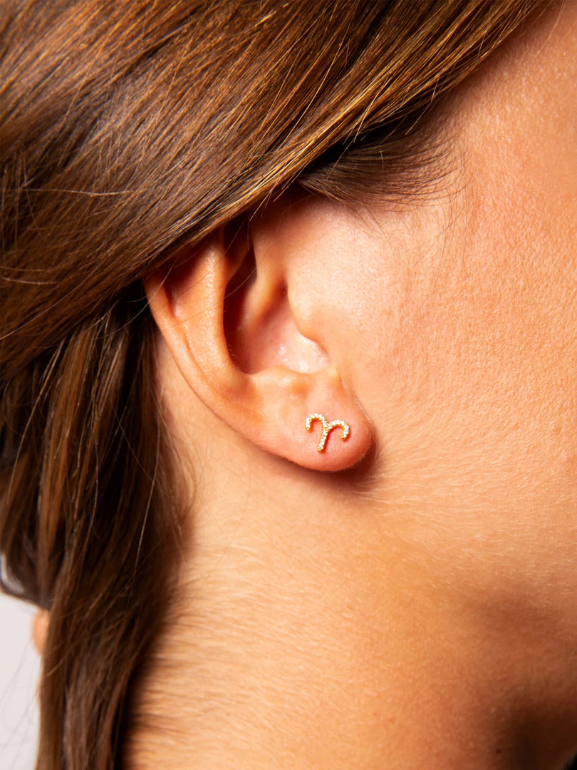 Natural Life Zodiac Perfect Tiny Studs 11 Natural Life Zodiac Perfect Tiny Studs