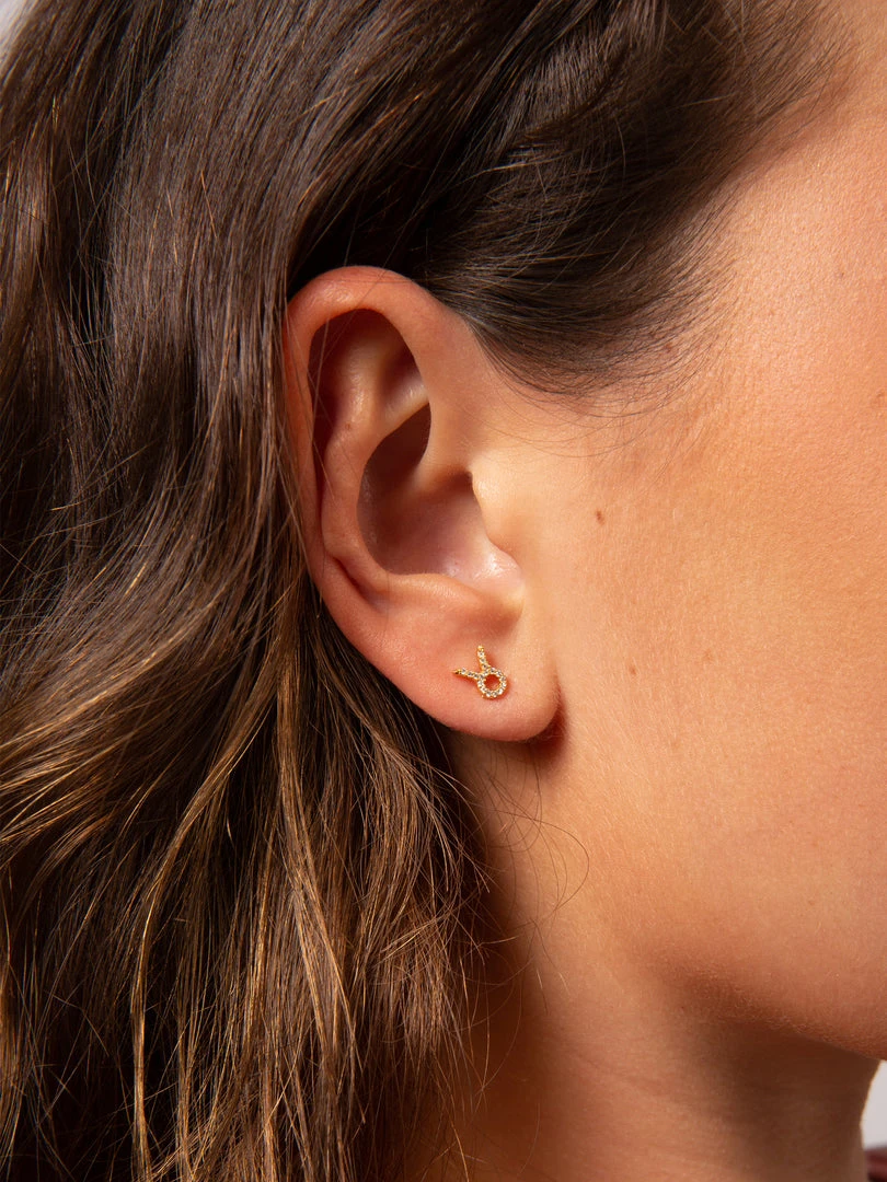 Natural Life Zodiac Perfect Tiny Studs 14 Natural Life Zodiac Perfect Tiny Studs