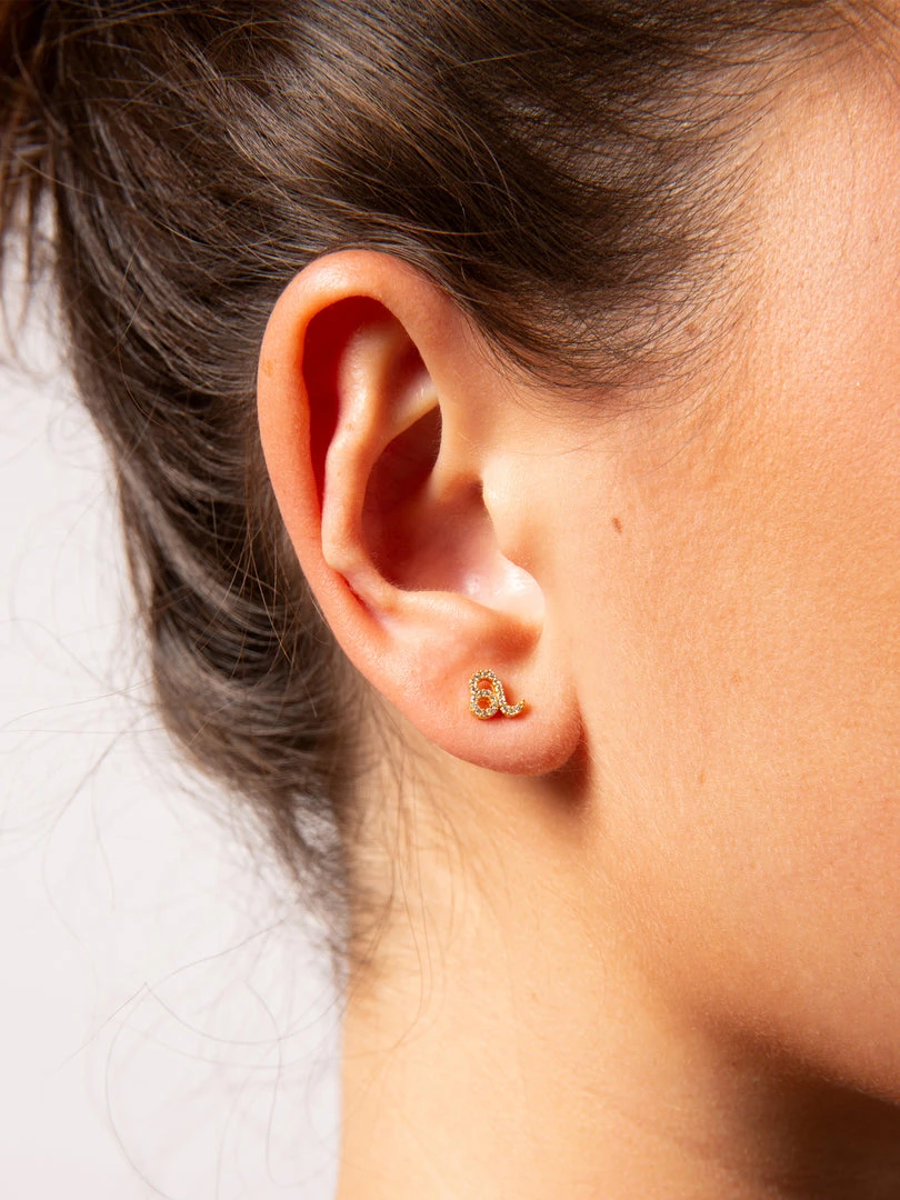 Natural Life Zodiac Perfect Tiny Studs 23 Natural Life Zodiac Perfect Tiny Studs