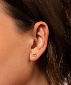 Natural Life Zodiac Perfect Tiny Studs 62 Natural Life Zodiac Perfect Tiny Studs