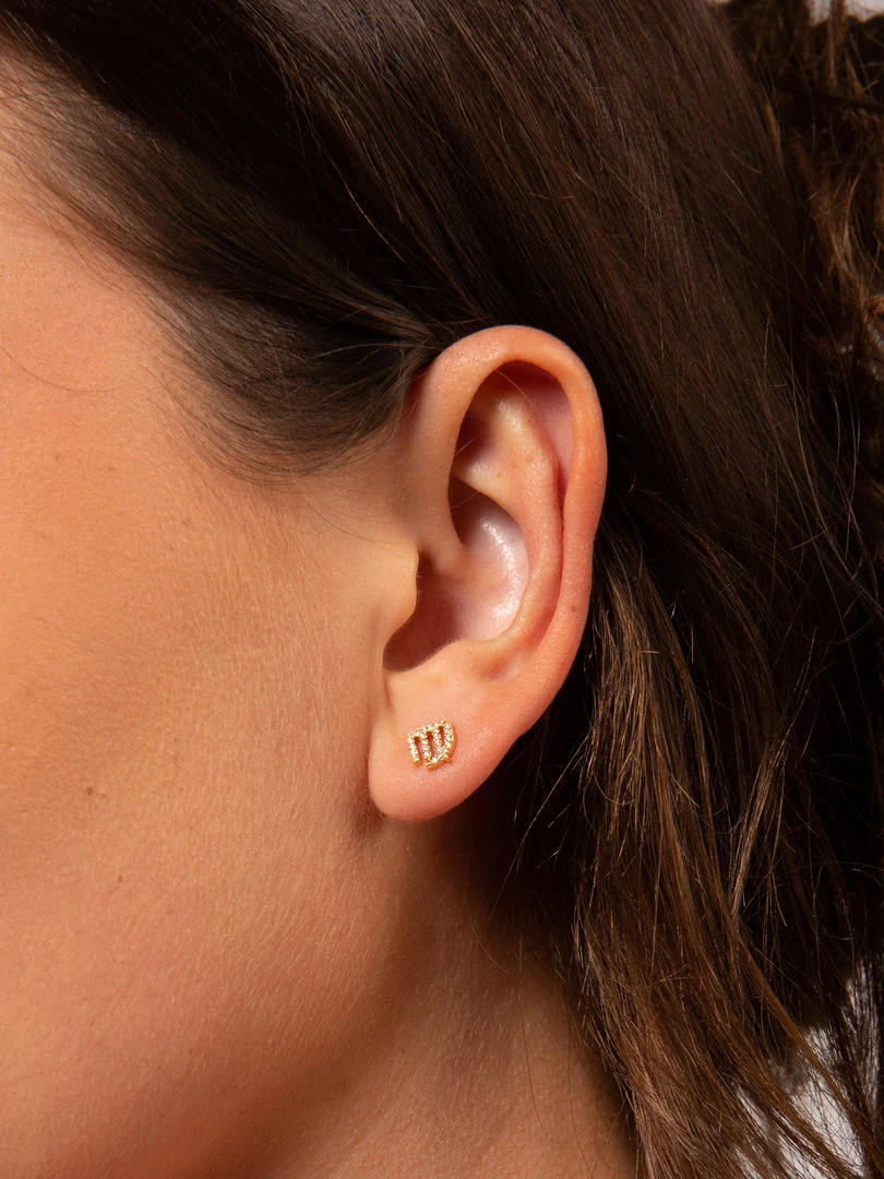 Natural Life Zodiac Perfect Tiny Studs 26 Natural Life Zodiac Perfect Tiny Studs