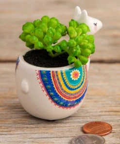 Natural Life FUN & GIFTS Tiny Faux Succulents