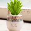 Natural Life Mini Faux Succulent FUN & GIFTS 1 Natural Life Mini Faux Succulent FUN & GIFTS