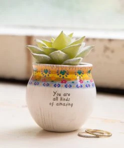 Natural Life Mini Faux Succulent FUN & GIFTS
