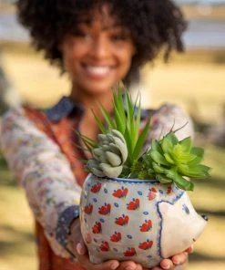 Natural Life Critter Planter Back To Campus