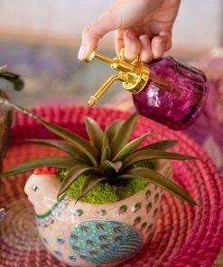 Natural Life Critter Planter Back To Campus