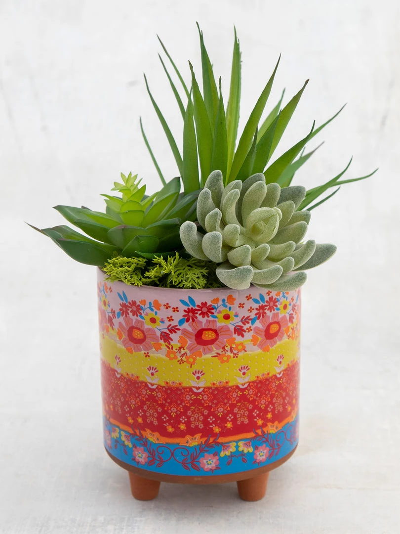 Natural Life HOME & LIVING Faux Succulent Bundle 4 Natural Life HOME & LIVING Faux Succulent Bundle