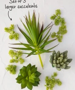 Natural Life HOME & LIVING Faux Succulent Bundle