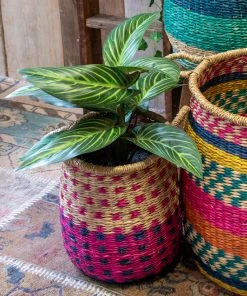 Natural Life Back In Stock Small Potted Faux Plant