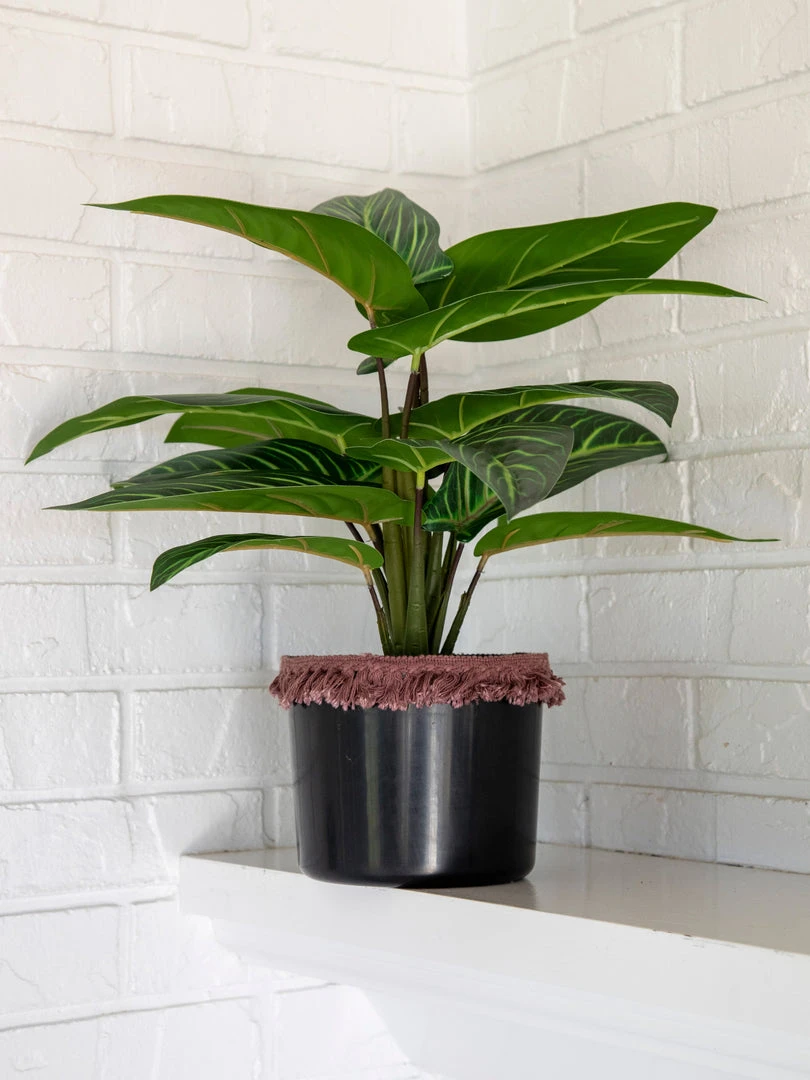 Natural Life Back In Stock Small Potted Faux Plant 3 Natural Life Back In Stock Small Potted Faux Plant