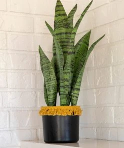 Natural Life Back In Stock Small Potted Faux Plant 17 Natural Life Back In Stock Small Potted Faux Plant