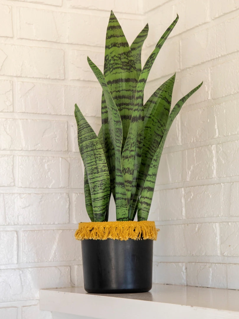 Natural Life Back In Stock Small Potted Faux Plant 7 Natural Life Back In Stock Small Potted Faux Plant