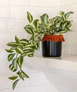 Natural Life Back In Stock Small Potted Faux Plant 21 Natural Life Back In Stock Small Potted Faux Plant