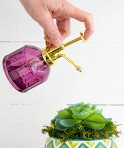 Natural Life Plant Mister