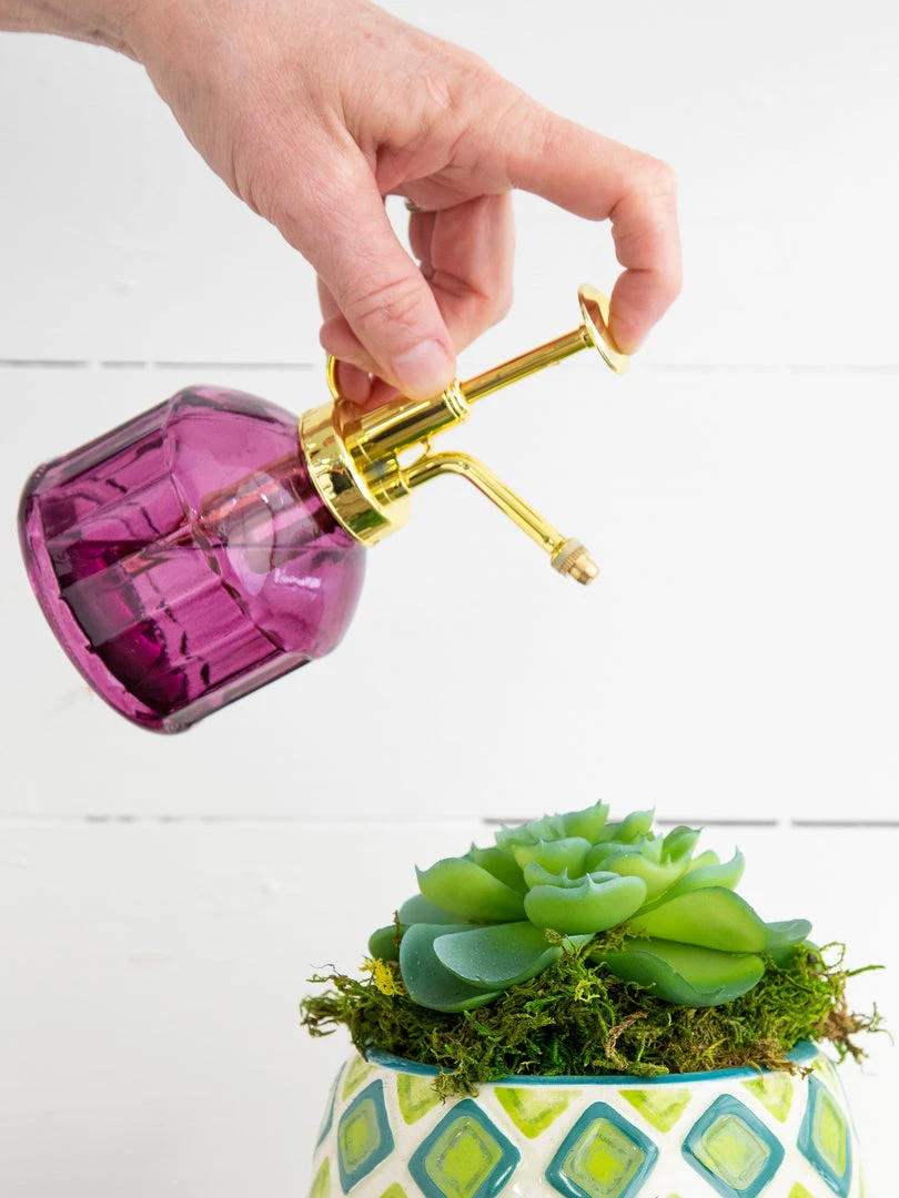 Natural Life Plant Mister 3 Natural Life Plant Mister