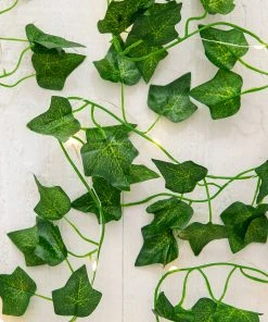 Natural Life Ivy Fairy String Lights Back To Campus