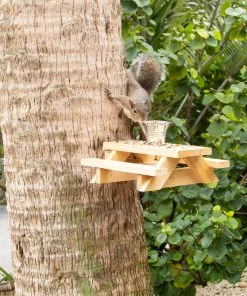 Natural Life Beach & Outdoors Squirrel Picnic Table Feeder 14 Natural Life Beach & Outdoors Squirrel Picnic Table Feeder