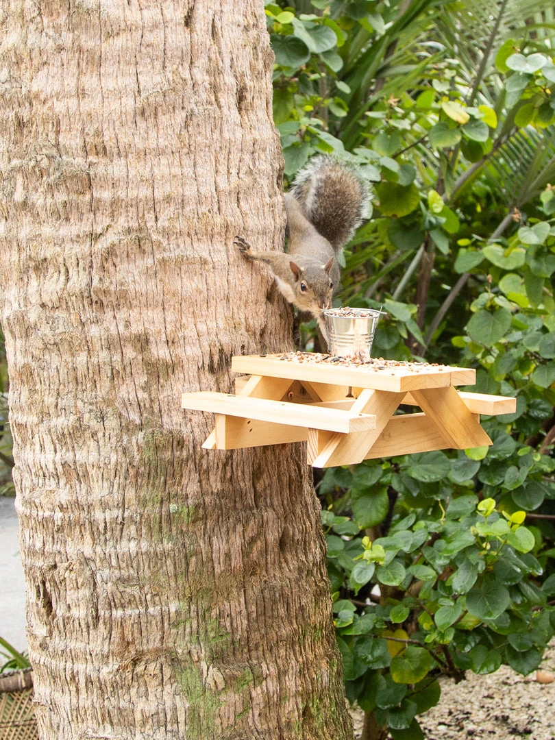 Natural Life Beach & Outdoors Squirrel Picnic Table Feeder 7 Natural Life Beach & Outdoors Squirrel Picnic Table Feeder