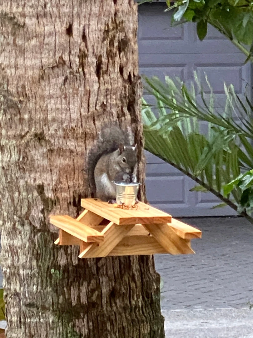 Natural Life Beach & Outdoors Squirrel Picnic Table Feeder 8 Natural Life Beach & Outdoors Squirrel Picnic Table Feeder