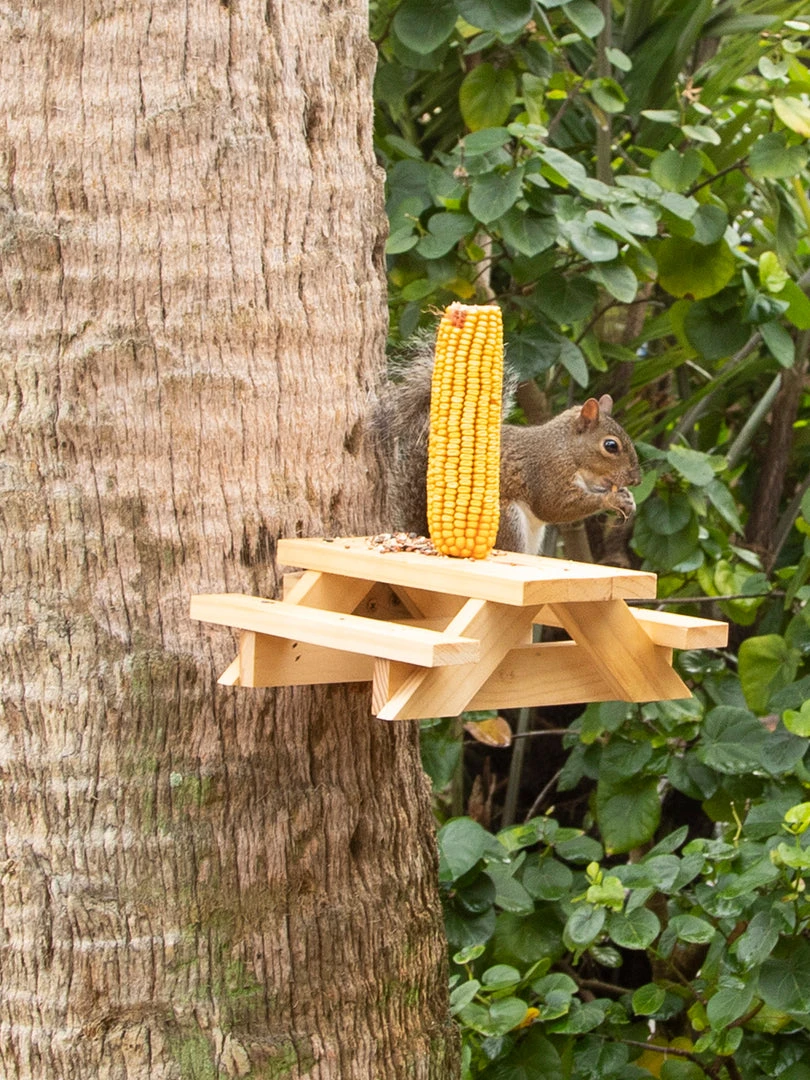 Natural Life Beach & Outdoors Squirrel Picnic Table Feeder 4 Natural Life Beach & Outdoors Squirrel Picnic Table Feeder