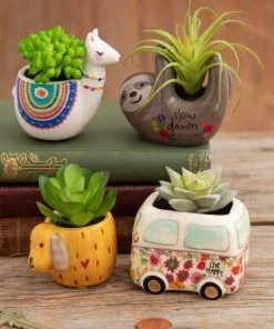 Natural Life FUN & GIFTS Tiny Faux Succulents