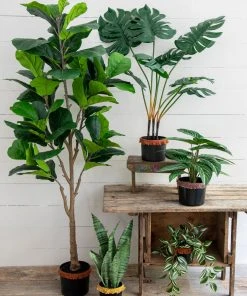 Natural Life Back In Stock Small Potted Faux Plant 23 Natural Life Back In Stock Small Potted Faux Plant